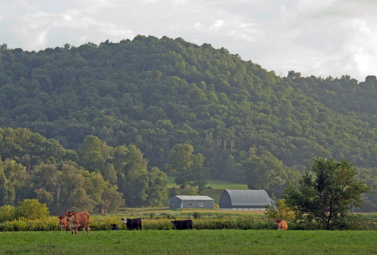 Driftless